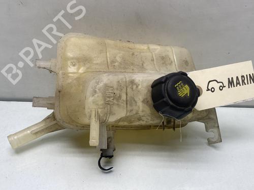Ekspansjonstank Ekspansjonstank RENAULT GRAND SCÉNIC III (JZ0/1_) 1.6 dCi (JZ00, JZ12) (130 hp) 26290170 26290170