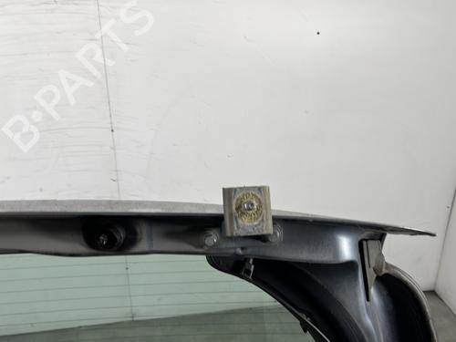 Tailgate RENAULT CLIO III (BR0/1, CR0/1) 1.6 16V (BR09, BR0T, CR09, CR0T) | BP29119624C6 