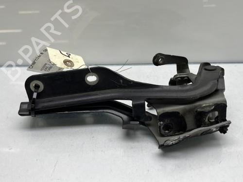 Hinge/Door check strap NISSAN JUKE (F15) 1.2 DIG-T | BP19988324C146 