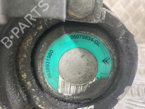 Steering pump PEUGEOT 206 Hatchback (2A/C) 1.9 D | BP24960372M99 