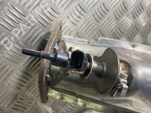 Particulate filter LAND ROVER RANGE ROVER SPORT III (L461)  | BP22629175M81 