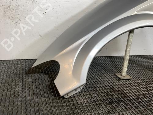 Left front fenders CHRYSLER VOYAGER IV (RG, RS) 2.5 CRD | BP23877593C41 