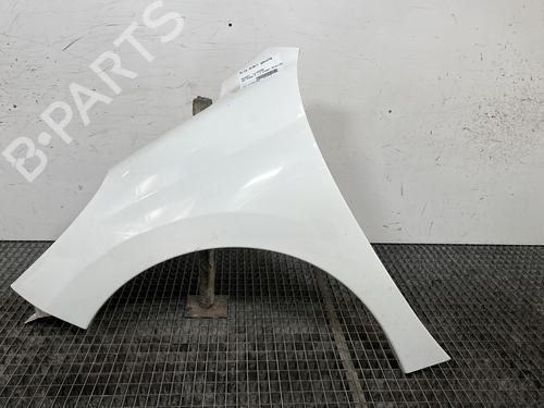 Forkjerm venstre PEUGEOT 207 (WA_, WC_) 1.4 HDi (68 hp) 29939681