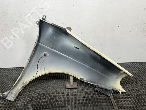 Left front fenders LANCIA YPSILON (843_) 1.2 (843.AXL1A) | BP29560471C41 
