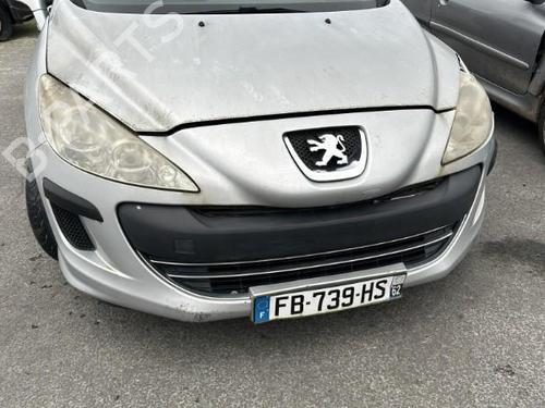 Hinge/Door check strap PEUGEOT 308 I (4A_, 4C_) 1.6 HDi | BP21490026C146 