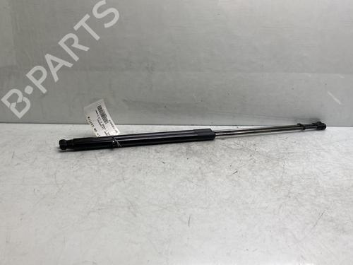 Used Tailgate lift support NISSAN JUKE (F15) 1.5 dCi (110 hp) 20021155