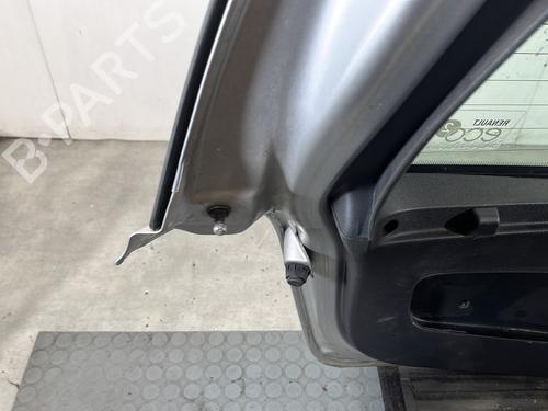 Tailgate RENAULT CLIO III (BR0/1, CR0/1) 1.5 dCi (BR17, CR17) | BP29711709C6 