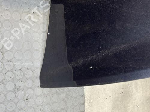 Hood RENAULT CLIO III (BR0/1, CR0/1) 1.2 16V (BR0P, CR0P) | BP31881086C1 