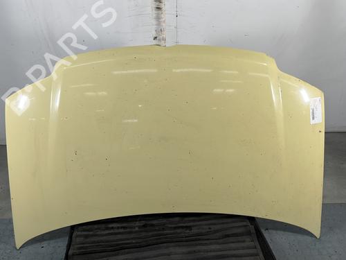 Hood FIAT PANDA (169_) 1.2 (169.AXB11, 169.AXB1A) 0000051876323