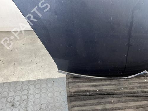 Hood CITROËN C4 Grand Picasso I (UA_) 2.0 HDi 150 | BP29886905C1