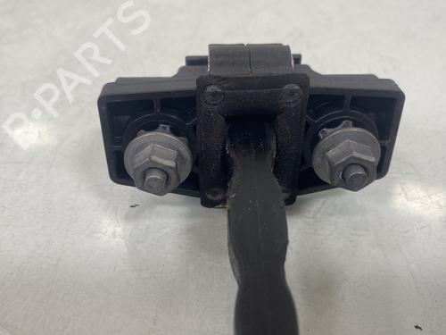 Hinge/Door check strap RENAULT TWINGO III (BCM_, BCA_) 1.0 SCe 75 | BP32495624C146