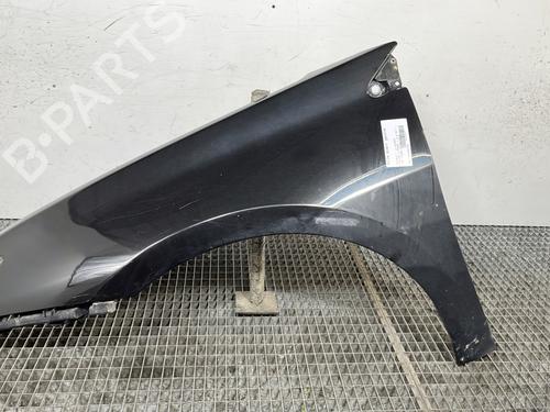 Used Left front fenders RENAULT LAGUNA III (BT0/1) 2.0 dCi (BT01, BT08, BT09, BT0E, BT0K, BT12, BT1C, BT1D,... (150 hp) 29009951