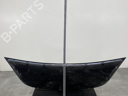 Hood SMART FORFOUR (454) 1.5 CDI (454.001) | BP19995148C1