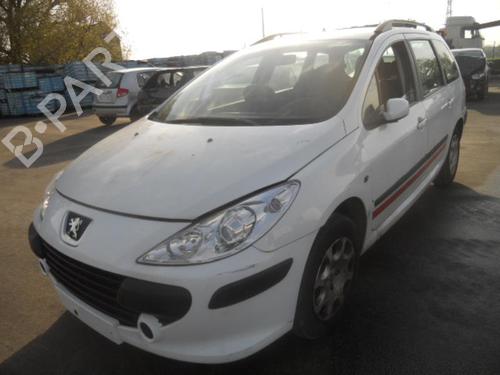 Left rear door PEUGEOT 307 Break (3E)  | BP20005369C4 
