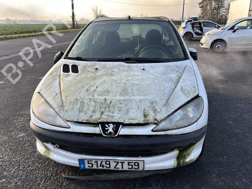 Frontplate/Frontkurv PEUGEOT 206 Hatchback (2A/C) 1.9 D | BP25483702C72 