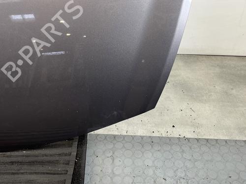 Hood RENAULT CLIO III (BR0/1, CR0/1) 1.5 dCi (C/BR0G, C/BR1G) | BP30720029C1