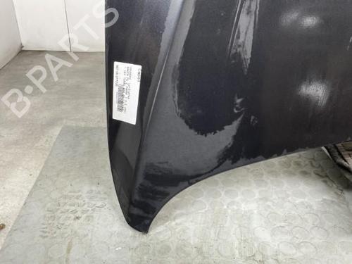 Hood HYUNDAI SANTA FÉ II (CM) 2.2 CRDi 4x4 | BP19952137C1