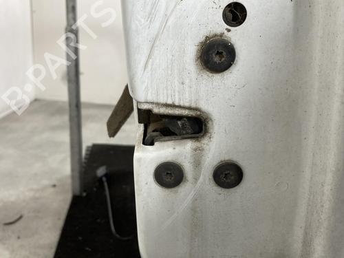 Right front door RENAULT MEGANE II (BM0/1_, CM0/1_) 1.5 dCi (BM1E, CM1E) | BP19955545C3 