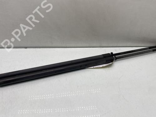 Used Tailgate lift support RENAULT GRAND SCÉNIC III (JZ0/1_) 1.6 dCi (JZ00, JZ12) (130 hp) 31212819