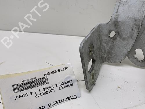 Hinge/Door check strap RENAULT KANGOO Express (FW0/1_)  | BP20023593C146 