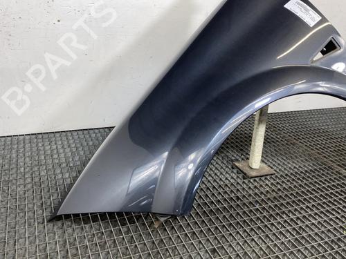 Left front fenders RENAULT MEGANE II Estate (KM0/1_) 2.0 | BP20716760C41 