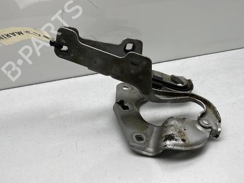 Used Hinge/Door check strap Hinge/Door check strap RENAULT CLIO III (BR0/1, CR0/1) 1.2 16V (BR02, BR0J, BR11, CR02, CR0J, CR11) (75 hp) 24428406 24428406