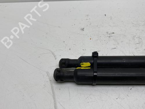 Tailgate lift support RENAULT SCÉNIC III (JZ0/1_) 1.5 dCi (JZ02, JZ0R) | BP19975365C138