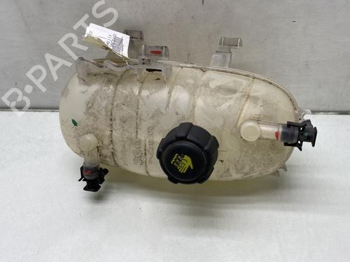 Used Expansion tank RENAULT TRAFIC III Van (FG_) 2.0 dCi 145 (FGML) (145 hp) 23770034