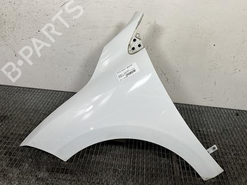 Left front fenders RENAULT MEGANE III Hatchback (BZ0/1_, B3_) 1.5 dCi (BZ0C) | BP31121598C41