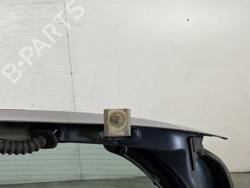 Tailgate RENAULT CLIO III (BR0/1, CR0/1) 1.4 16V | BP30059802C6