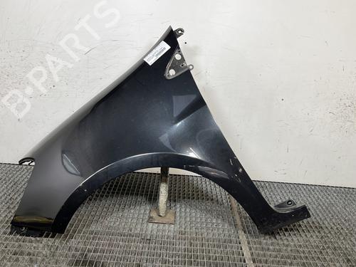 Used Left front fenders RENAULT CLIO III (BR0/1, CR0/1) 1.5 dCi (C/BR0G, C/BR1G) (68 hp) 30148370