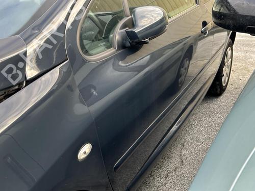 Left front door PEUGEOT 307 (3A/C) 1.6 16V | BP19953237C2 