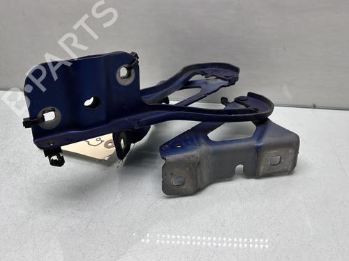 Hinge/Door check strap RENAULT CLIO V (B7_) 1.3 TCe 130 (B7MF) | BP32302230C146