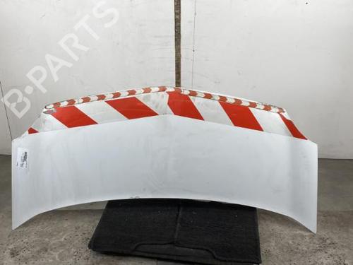 Used Hood RENAULT KANGOO Express (FW0/1_) 1.5 dCi 85 (FW0K, FW0L, FW0B) (86 hp) 19990433