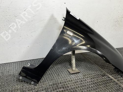 Right front fenders RENAULT CLIO II (BB_, CB_) 1.5 dCi (B/CB07) | BP29560482C42 