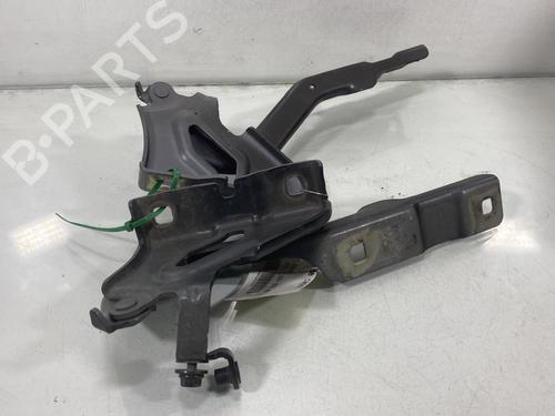 Hinge/Door check strap DACIA SANDERO III 1.0 SCe 65 | BP29995758C146