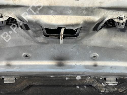Hood RENAULT SCÉNIC I MPV (JA0/1_, FA0_) 1.9 dTi (JA0N) | BP28210386C1 