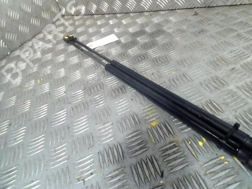 Used Tailgate lift support FORD FIESTA V (JH_, JD_) 1.6 TDCi (90 hp) 19978401