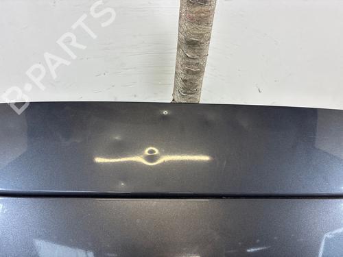 Used Tailgate Tailgate 39393653 39393653