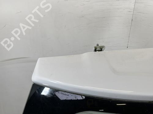 Tailgate CITROËN C3 II (SC_) 1.4 HDi 70 (SC8HZC, SC8HR0, SC8HP4) | BP29478259C6 