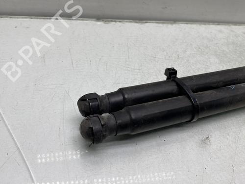 Used Tailgate lift support Tailgate lift support LANCIA MUSA (350_) 1.9 D Multijet (350.AXC1A) (101 hp) 24208005 24208005