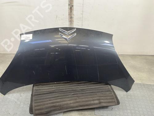 BP32168639C1 main image