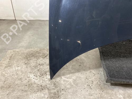 Hood PEUGEOT 206+ (2L_, 2M_) 1.4 HDi eco 70 | BP19970198C1