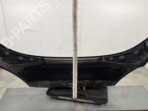 Hood RENAULT SCÉNIC III (JZ0/1_) 1.5 dCi | BP30389324C1 