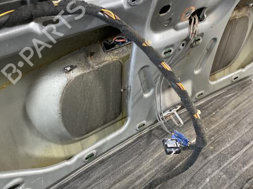 Tailgate MINI MINI (R50, R53)  | BP21690025C6