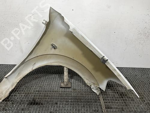 Left front fenders CITROËN C3 I (FC_, FN_) 1.1 i | BP28282450C41 