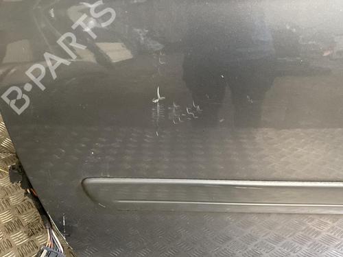 Left front door CHRYSLER VOYAGER IV (RG, RS) 2.8 CRD | BP21956365C2 