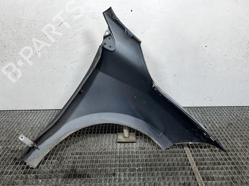 Left front fenders RENAULT MEGANE III Hatchback (BZ0/1_, B3_) 1.5 dCi (BZ0C) | BP29287178C41
