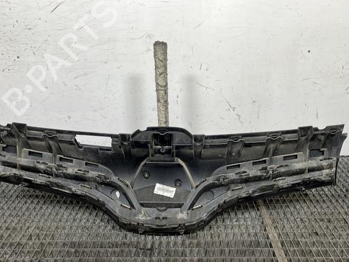 Grille RENAULT KANGOO Express (FW0/1_) 1.5 dCi 95 (FW16) | BP29940166C40
