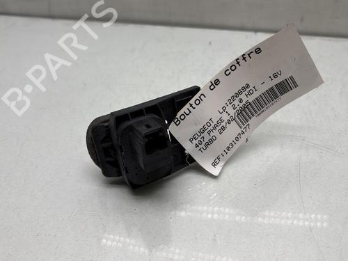 Switch PEUGEOT 407 (6D_) 2.0 HDi 135 (6DRHRH, 6DRHRE, 6DRHRG, 6DRHRJ) | BP28279607I30 